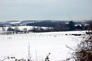 View from West End looking east December 2009